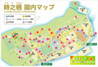 時之栖のイルミネーショ2010-2011 2010/11/27 23:14:08