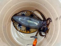 ボート釣行at駿河湾 2011/02/08 13:17:54