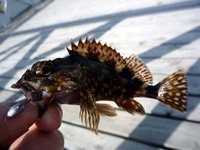 ボート釣行at駿河湾 2011/03/09 13:18:11