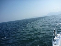ボート釣行at駿河湾 2011/08/22 20:56:24
