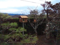 鳥小屋