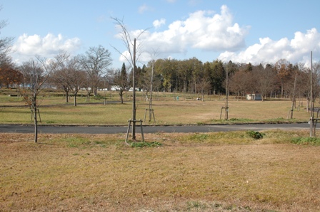 丸清水公園　　聖地を求めて後編