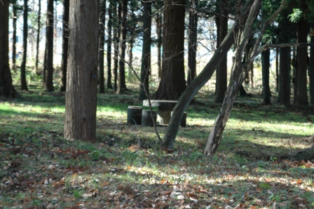 丸清水公園　　聖地を求めて後編