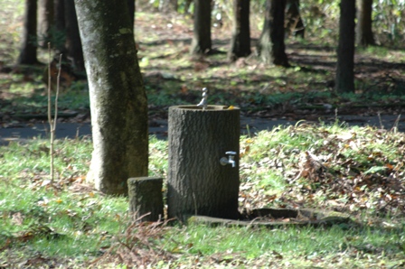 丸清水公園　　聖地を求めて後編