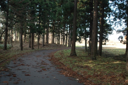 丸清水公園　　聖地を求めて後編