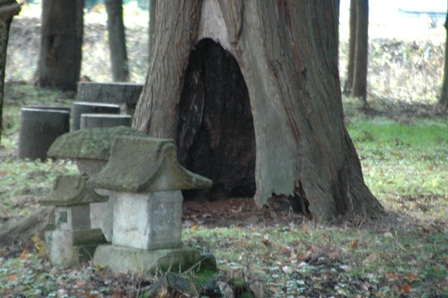 丸清水公園　　聖地を求めて後編