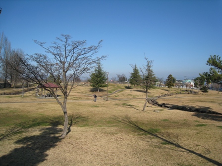 米沢総合公園