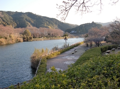 2011　お花見キャンプ♪