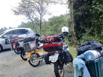 カブスと行く！九州熊本の旅　その2