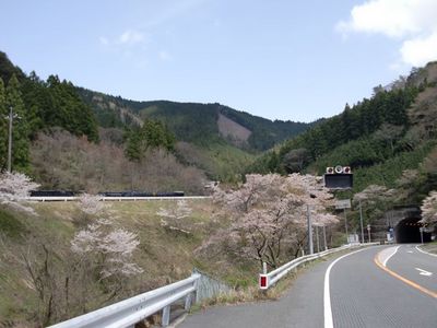 カブで行く！四万十〜四国カルストの旅　その３