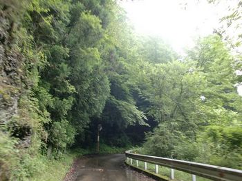 カブで行く！徳島　大歩危小歩危の旅　その１