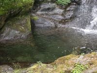 カブで行く！徳島　大歩危小歩危の旅　その１