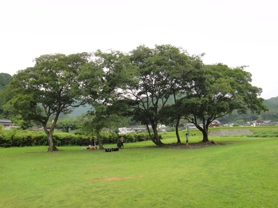 雨でも行く！四万十キャンプ