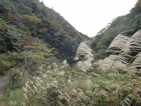 ハンターカブで行く！県道152号線