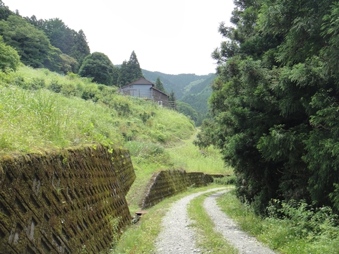 ハンターカブで行く！中津渓谷　林道編