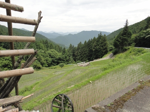 ハンターカブで行く！中津渓谷　林道編