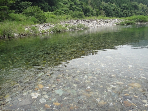 ハンターカブで行く！中津渓谷　林道編