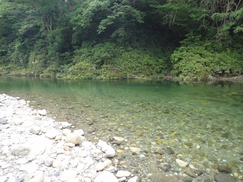 ハンターカブで行く！中津渓谷　林道編