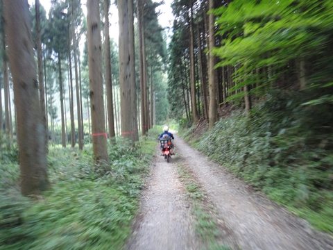 ハンターカブで行く！マイナスイオンキャンプ