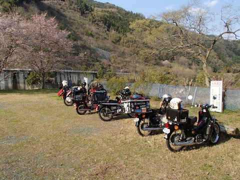 松山カブス　お花見キャンプ2013