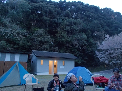 松山カブス　お花見キャンプ2013