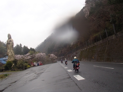 松山カブス　お花見キャンプ2013