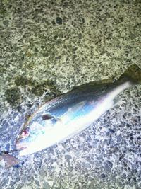 ひさしぶりのぶっこみ♪ 2013/07/25 13:43:46