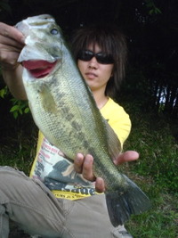野池もサイコーだ☆ 2009/05/03 20:57:17