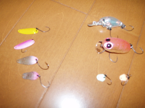 放流2日後の　しらこばとFA