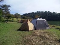 全部張り断念 2009/10/11 15:00:57