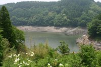 水不足だな~ 2009/06/18 13:12:54