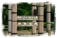 神楽女湖しょうぶ園 2009/06/22 22:45:32