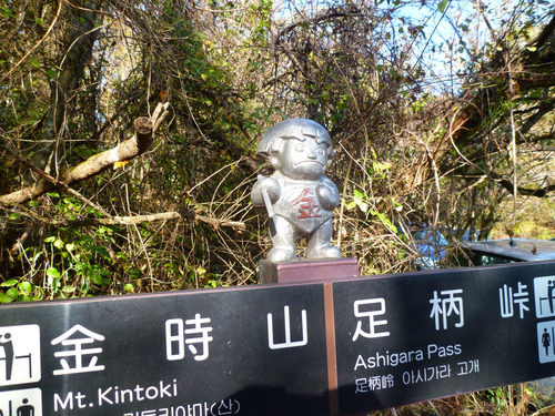 晩秋の金時山　trekking 2011.11.13