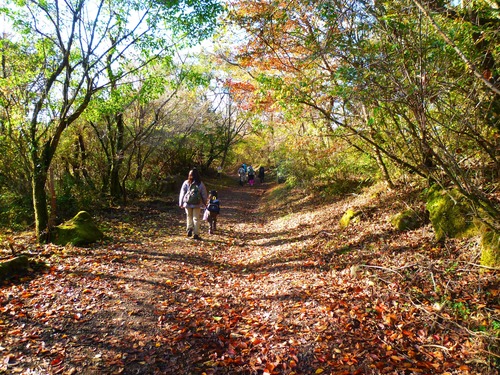 晩秋の金時山　trekking 2011.11.13