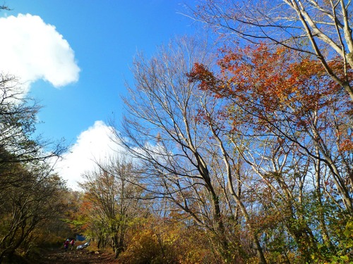 晩秋の金時山　trekking 2011.11.13