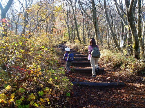 晩秋の金時山　trekking 2011.11.13