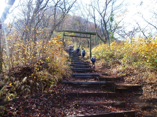 晩秋の金時山　trekking 2011.11.13