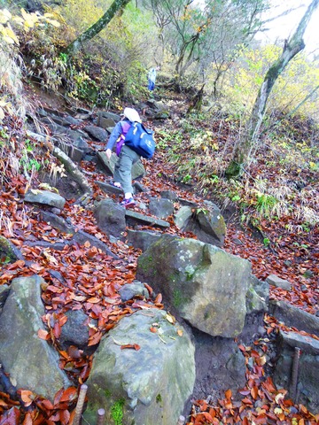 晩秋の金時山　trekking 2011.11.13