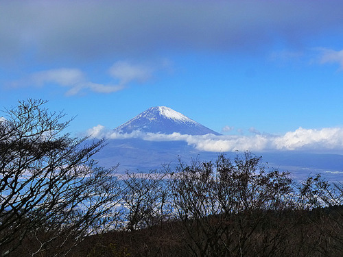 金時山再び…箱根外輪縦走　2011.11.26