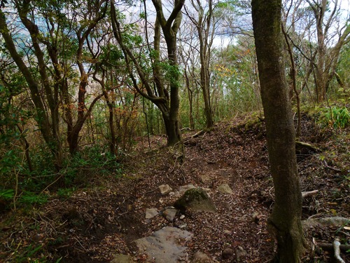 金時山再び…箱根外輪縦走　2011.11.26