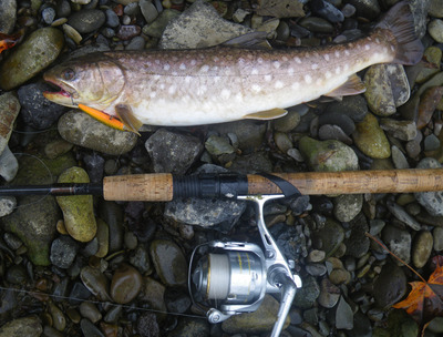 四季lure 四季の釣り