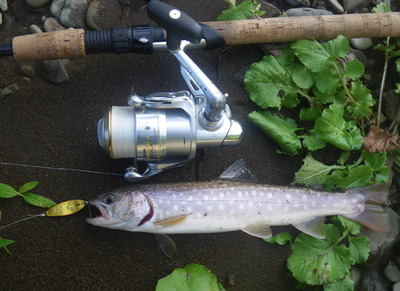 四季lure 四季の釣り