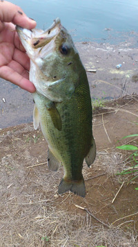 2012/6/11 【ラージ】 2012/06/11 20:15:08