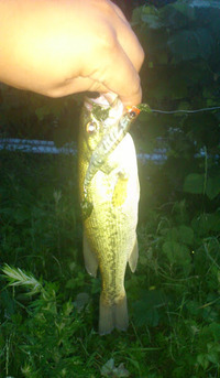 2012/7/5 【ラージ】 2012/07/05 20:08:39