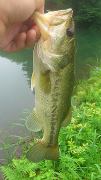 2012/7/14 【ラージ】 2012/07/15 22:38:27