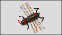 2012/8/1 【ラージ】 2012/08/01 21:08:12