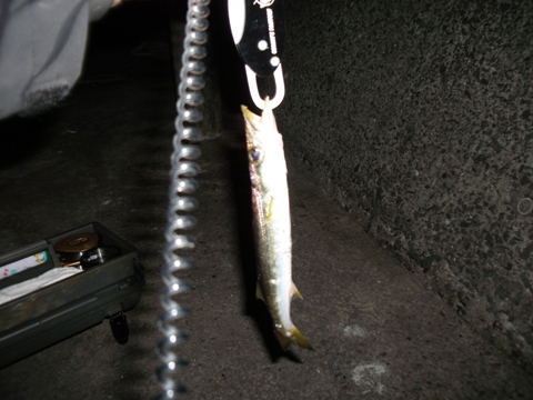 夜の部