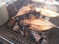 秋葉神社前キャンプ場レポ2日目