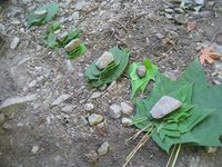 道志の森キャンプ場３日目