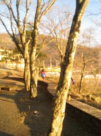 芦ノ湖キャンプ村＆金時山登山